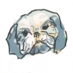 J. Cervantes Art - Pintura contemporánea